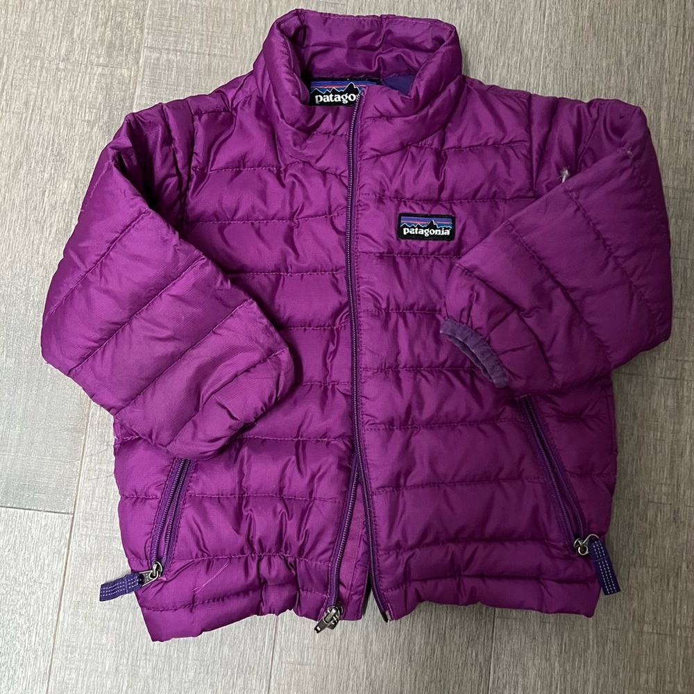 Patagonia Down Sweater Jacked Size 12 mos.